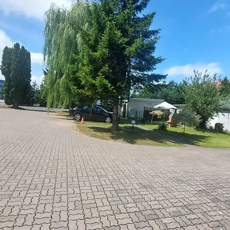 Hortensja 100 コシャリン