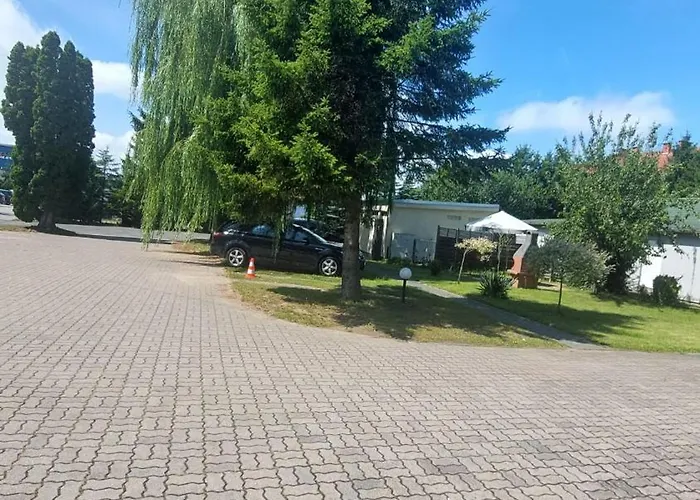 Hortensja 100 Koszalin